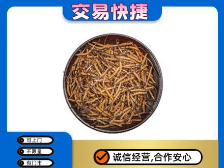 衡阳市石鼓回收散虫草